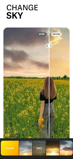Sky replacement tool with before/after preview and multiple preset sky options for landscape photo editing