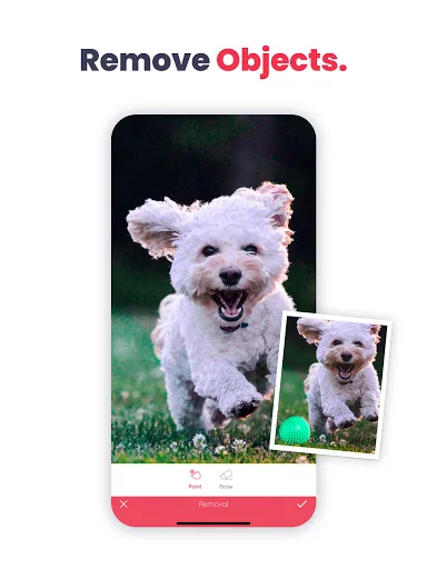 Anylight object removal tool with selective editing to remove unwanted elements from photos