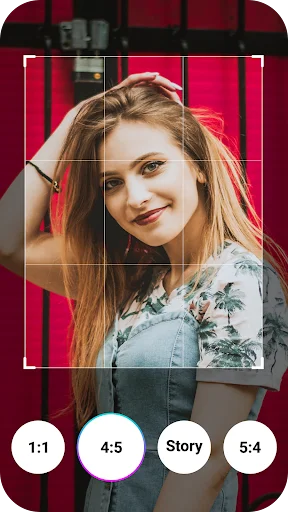 Aspect ratio crop tool for social media stories showing 1:1, 4:5, Story and 5:4 format options