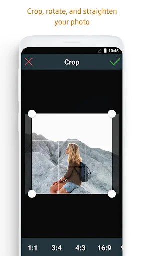 Crop tool interface showing landscape photo with aspect ratio options 1:1, 3:4, 4:3, and 16:9