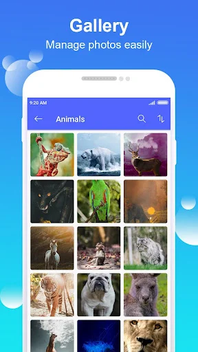 Gallery Animals album grid showing multiple wildlife and animal photograph thumbnails organized by subject