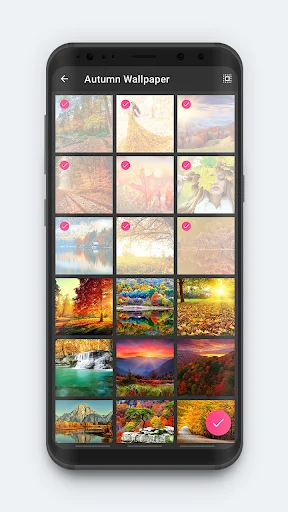 Autumn Wallpaper photo gallery grid displaying landscape images with heart favorites for selecting video backgrounds