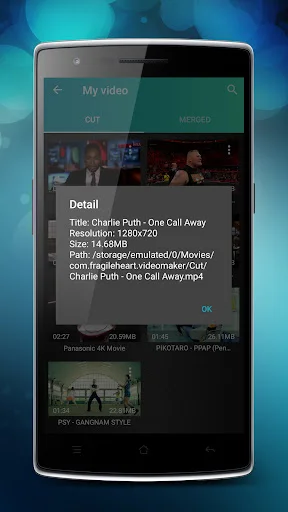 Video detail popup displaying file information including resolution, size, and storage path
